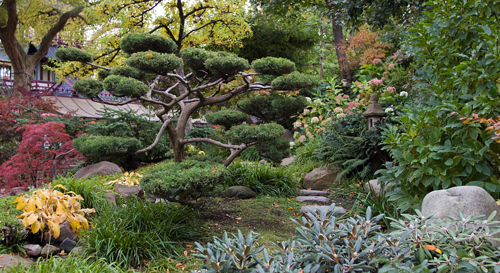 Japanese garden in Tivoli