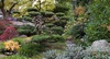 Japanese garden in Tivoli - thumbnail preview
