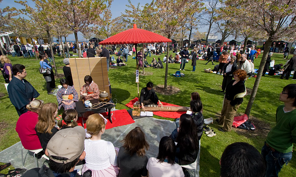 Sakura festival in Copenhagen