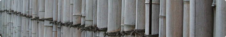 Site header picture unrelated to the page contents
