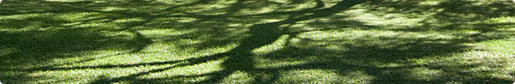Site header picture unrelated to the page contents