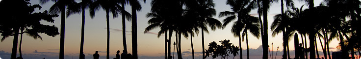 Site header picture unrelated to the page contents
