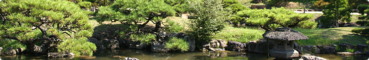 Site header picture unrelated to the page contents
