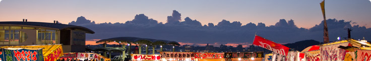 Site header picture unrelated to the page contents