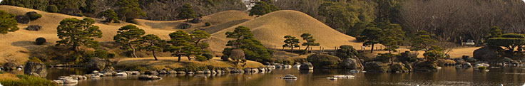 Site header picture unrelated to the page contents
