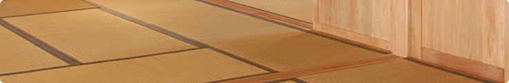 Site header picture unrelated to the page contents