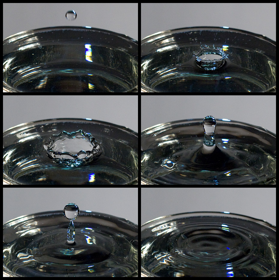 Life cycle of a drop