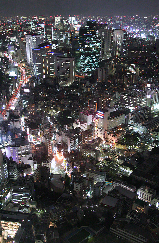 Tokyo skyline I