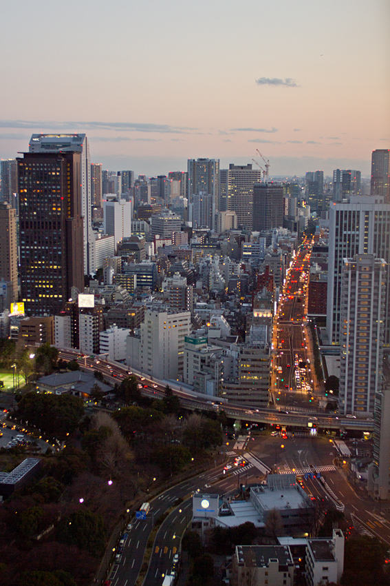 Tokyo skyline II
