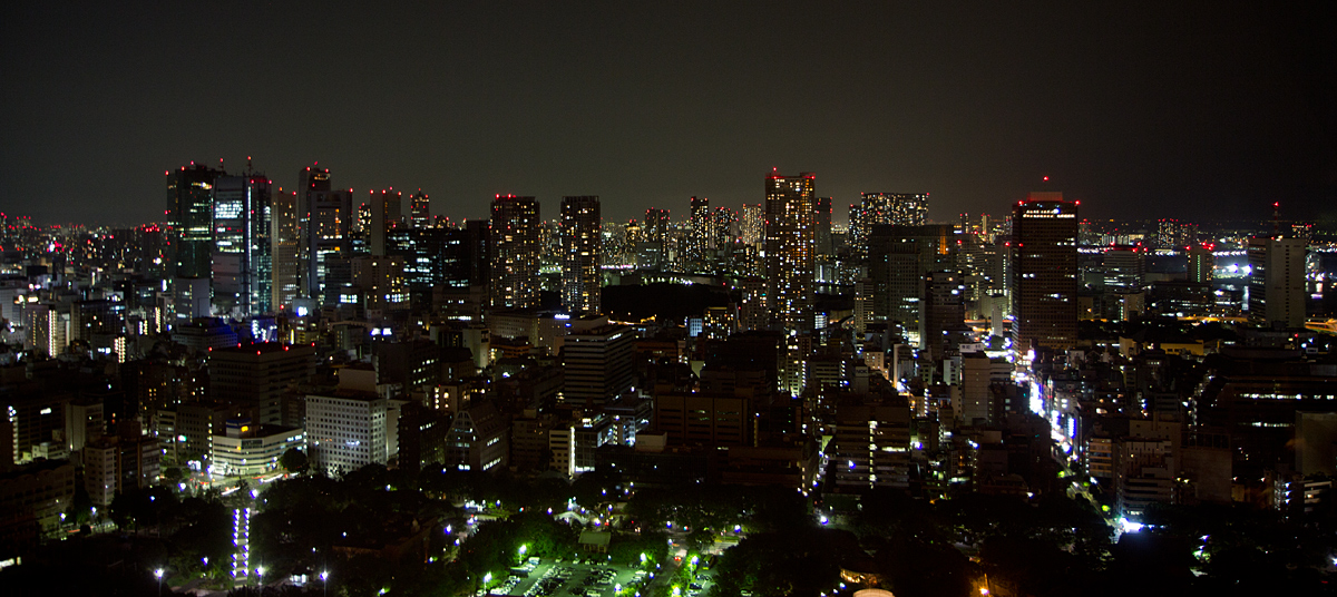 Tokyo skyline III