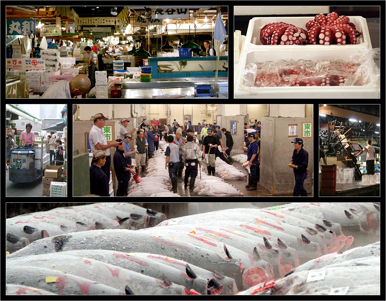 Tsukiji fish market