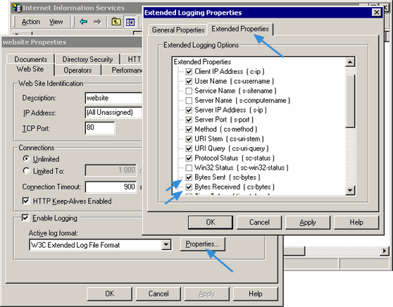 IIS logging properties